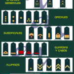 poster_divisas_GC_AN Imagen de las diferentes divisas de la Guardia Civil